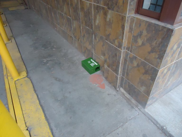 RATAS EN TORTILLERIAS